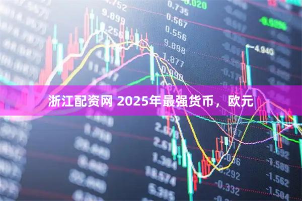 浙江配资网 2025年最强货币,欧元