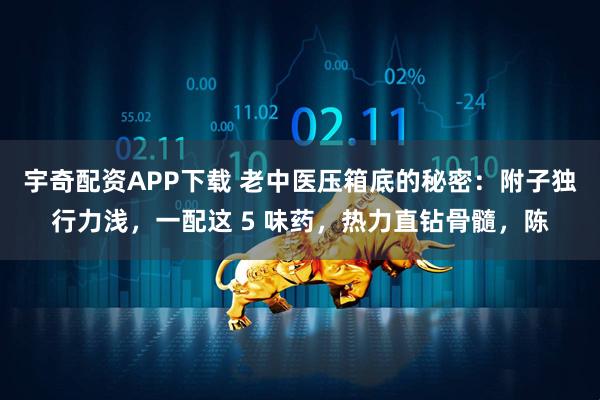 宇奇配资APP下载 老中医压箱底的秘密：附子独行力浅，一配这 5 味药，热力直钻骨髓，陈